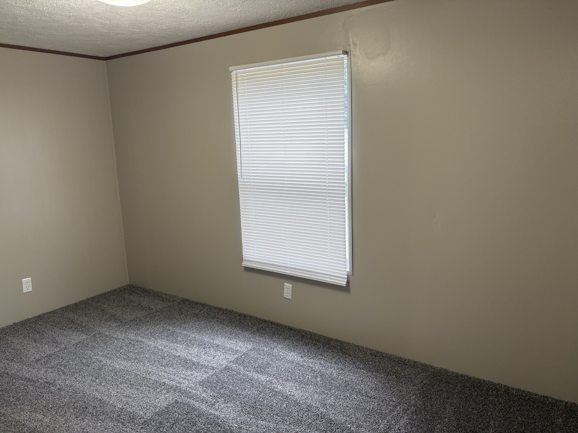 A photo of the Cedarwood Trails Home
