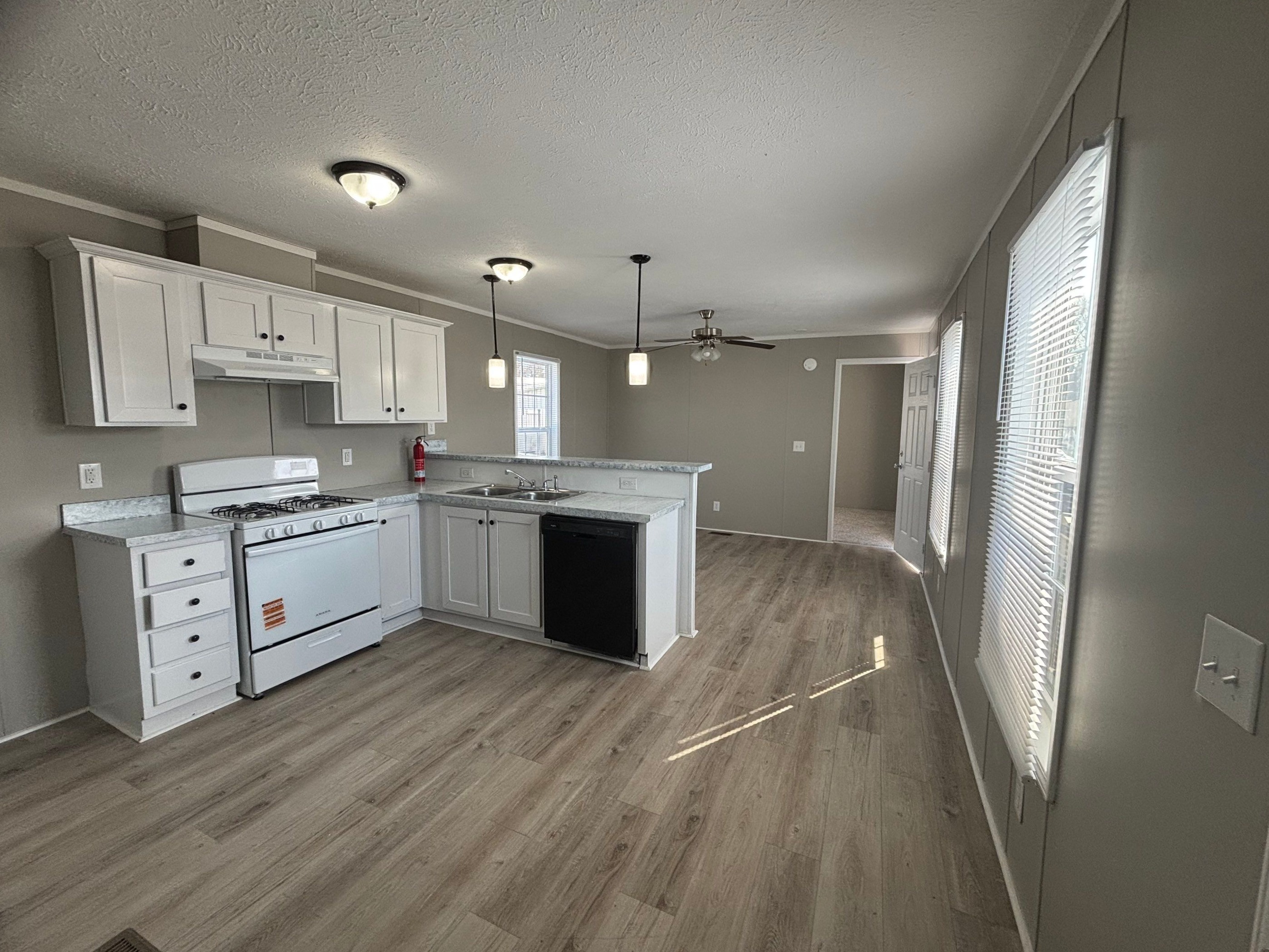 A photo of the Lincoln Park Home