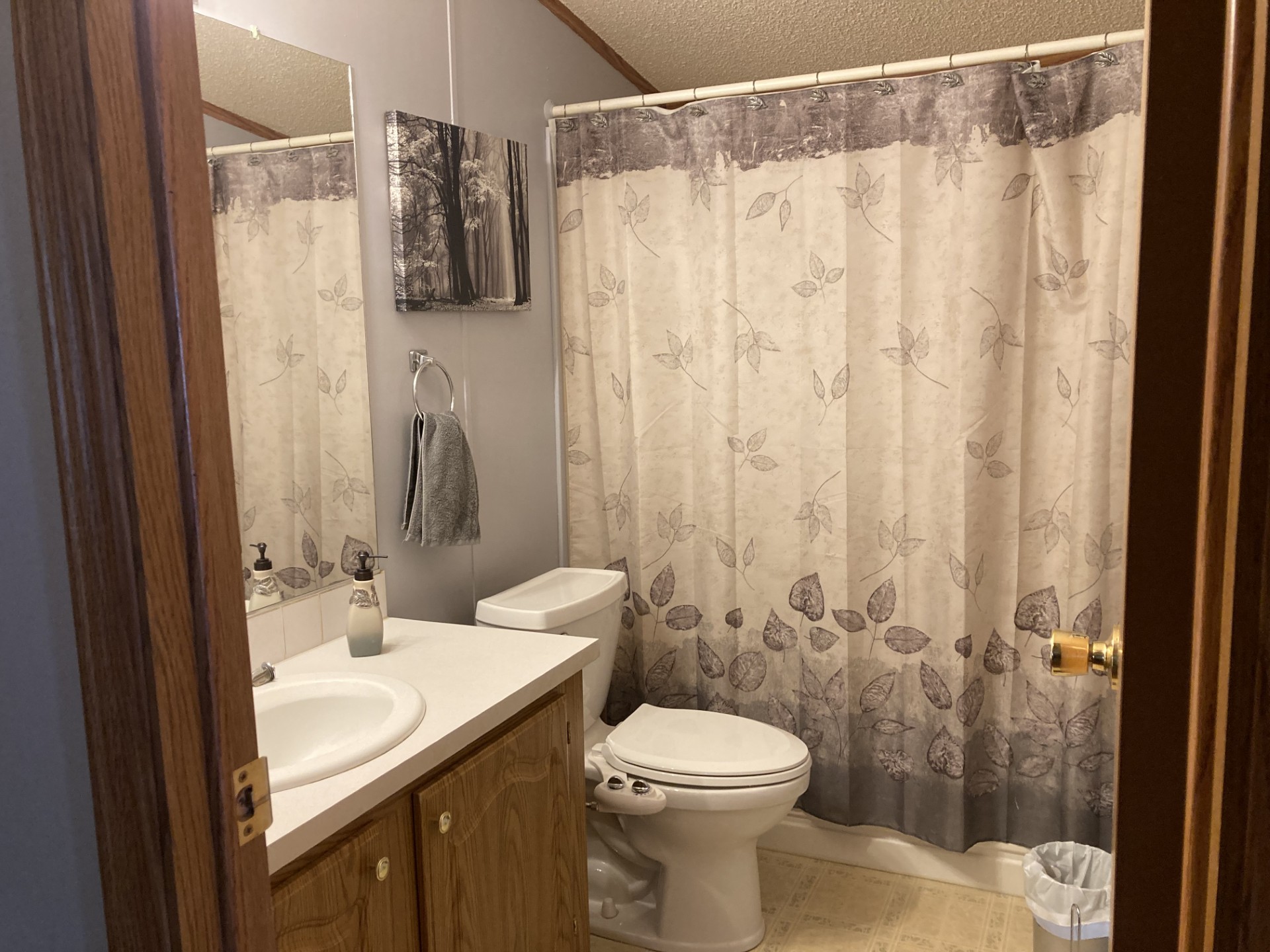 A photo of the Forest Park Home
