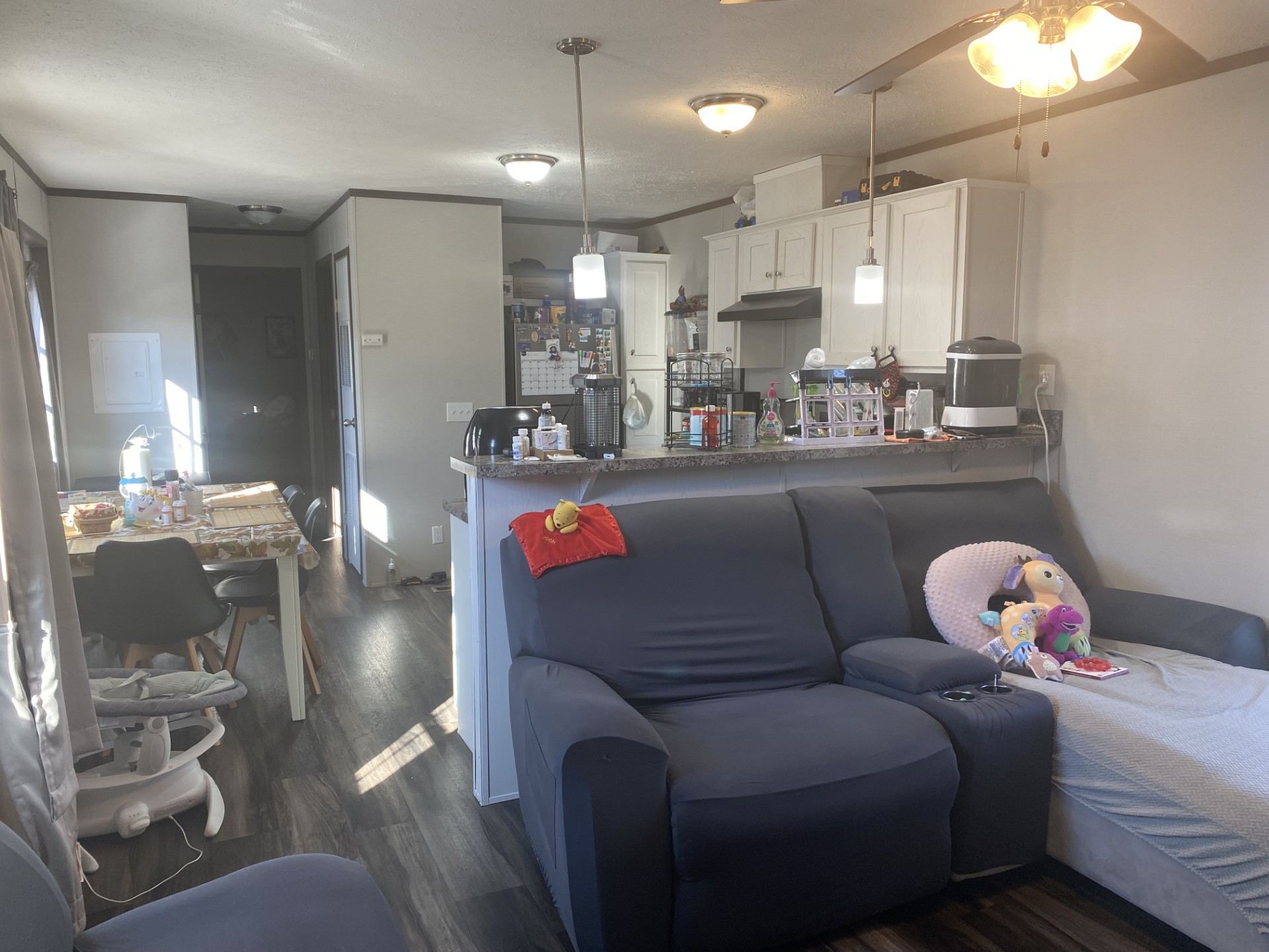 A photo of the Lincoln Park Home