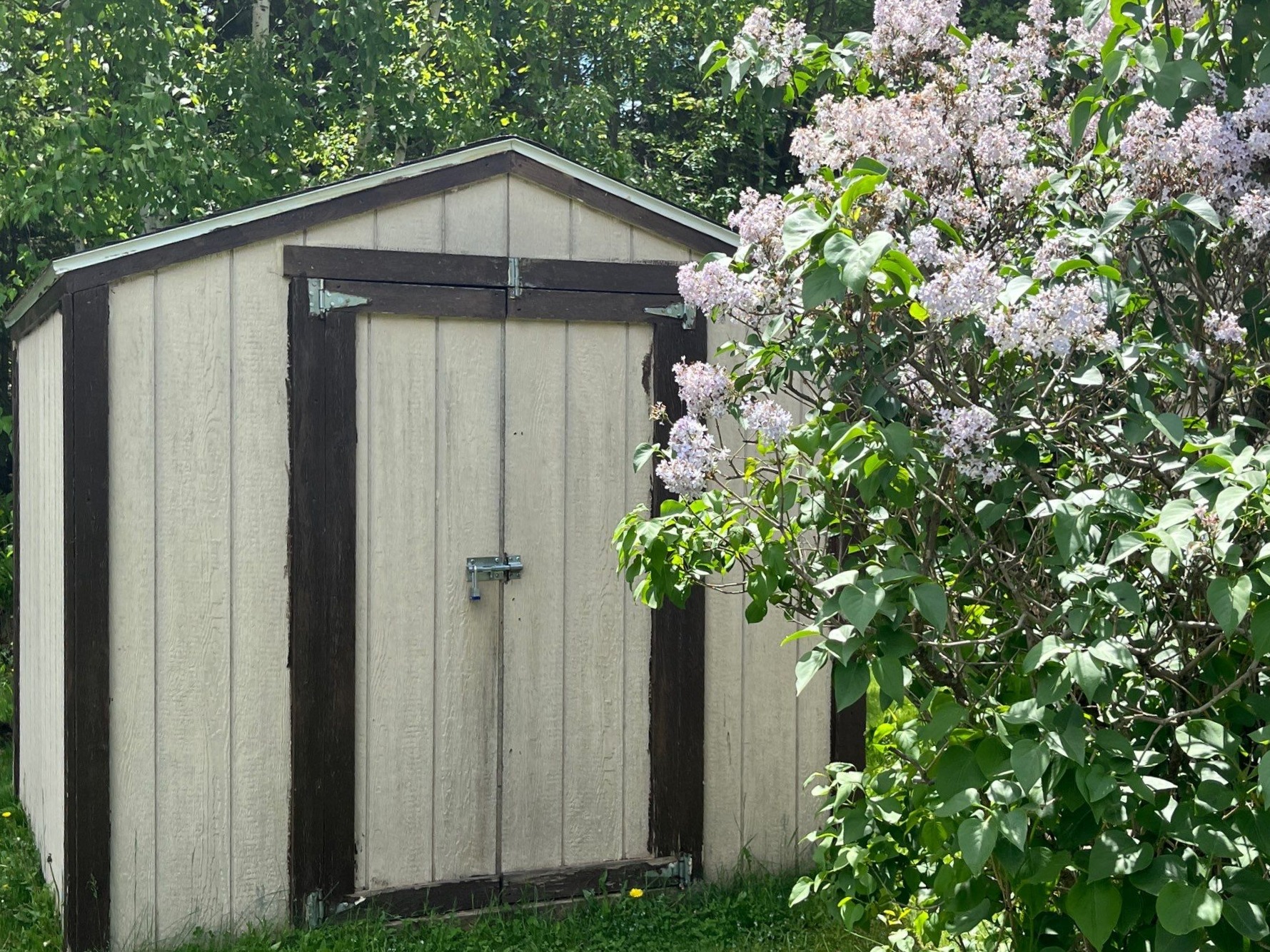 A photo of the Pioneer Village Home