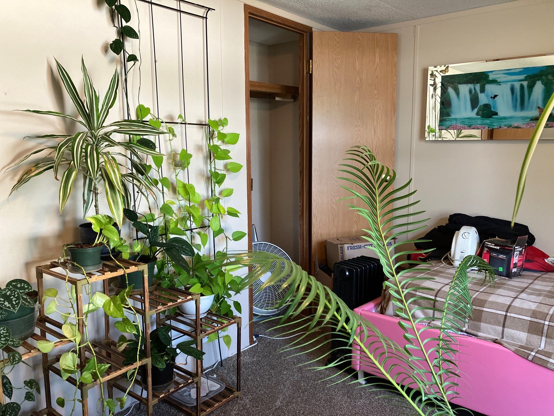 A photo of the Chisholm Creek Home