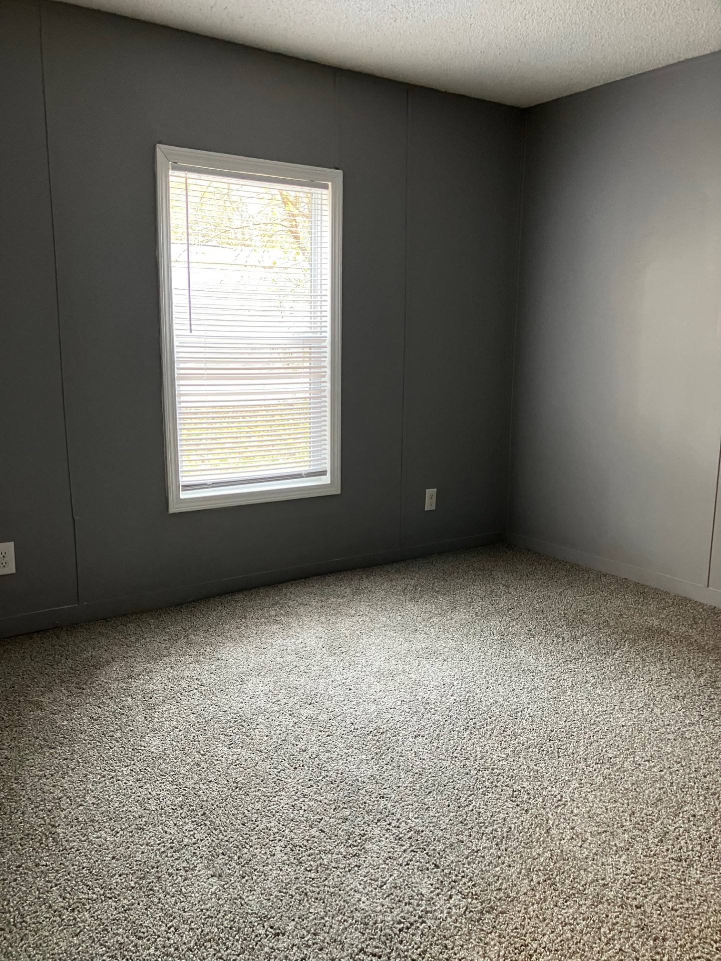 A photo of the Twin Lakes Home