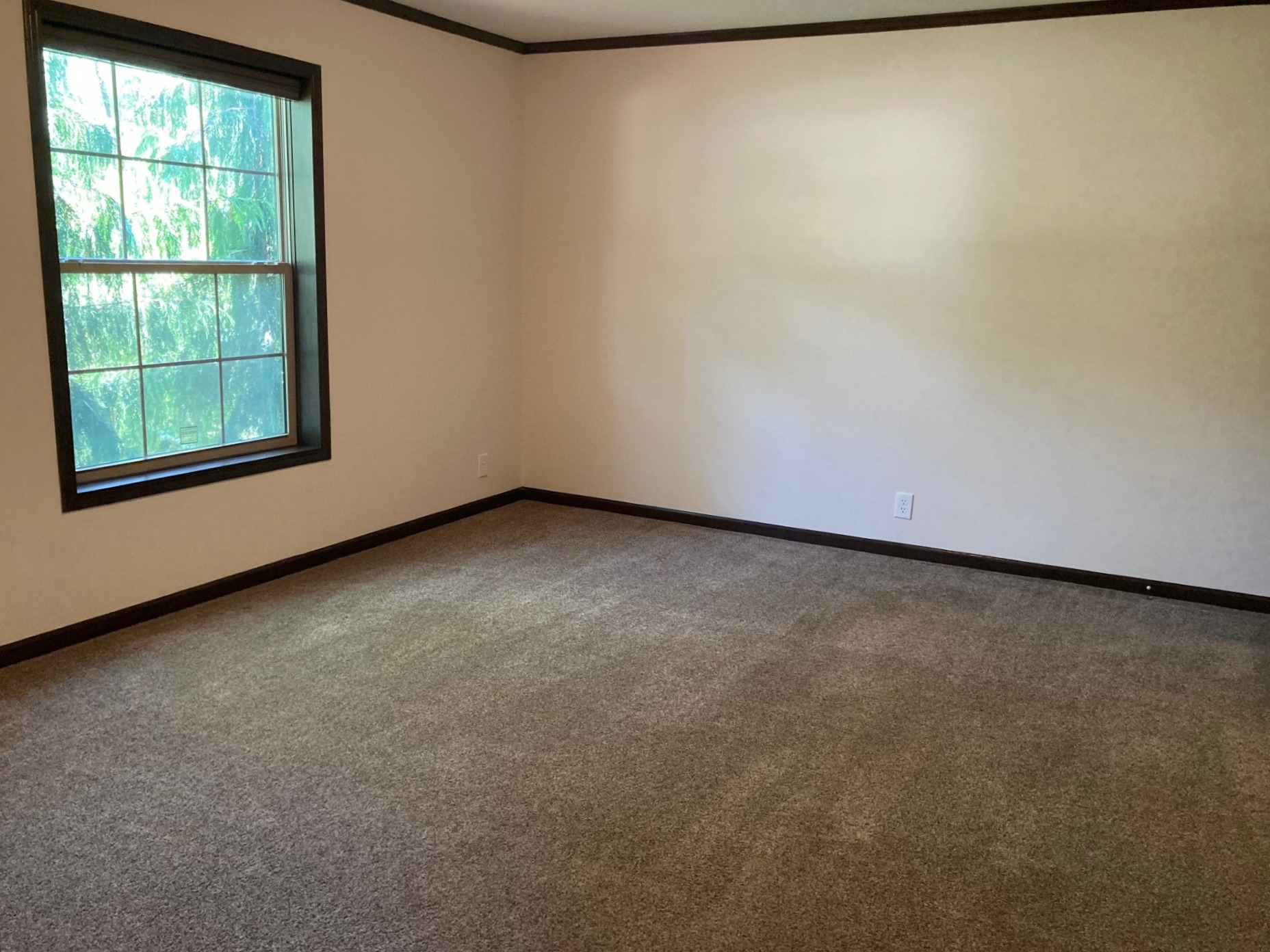 A photo of the The Woodlands Home