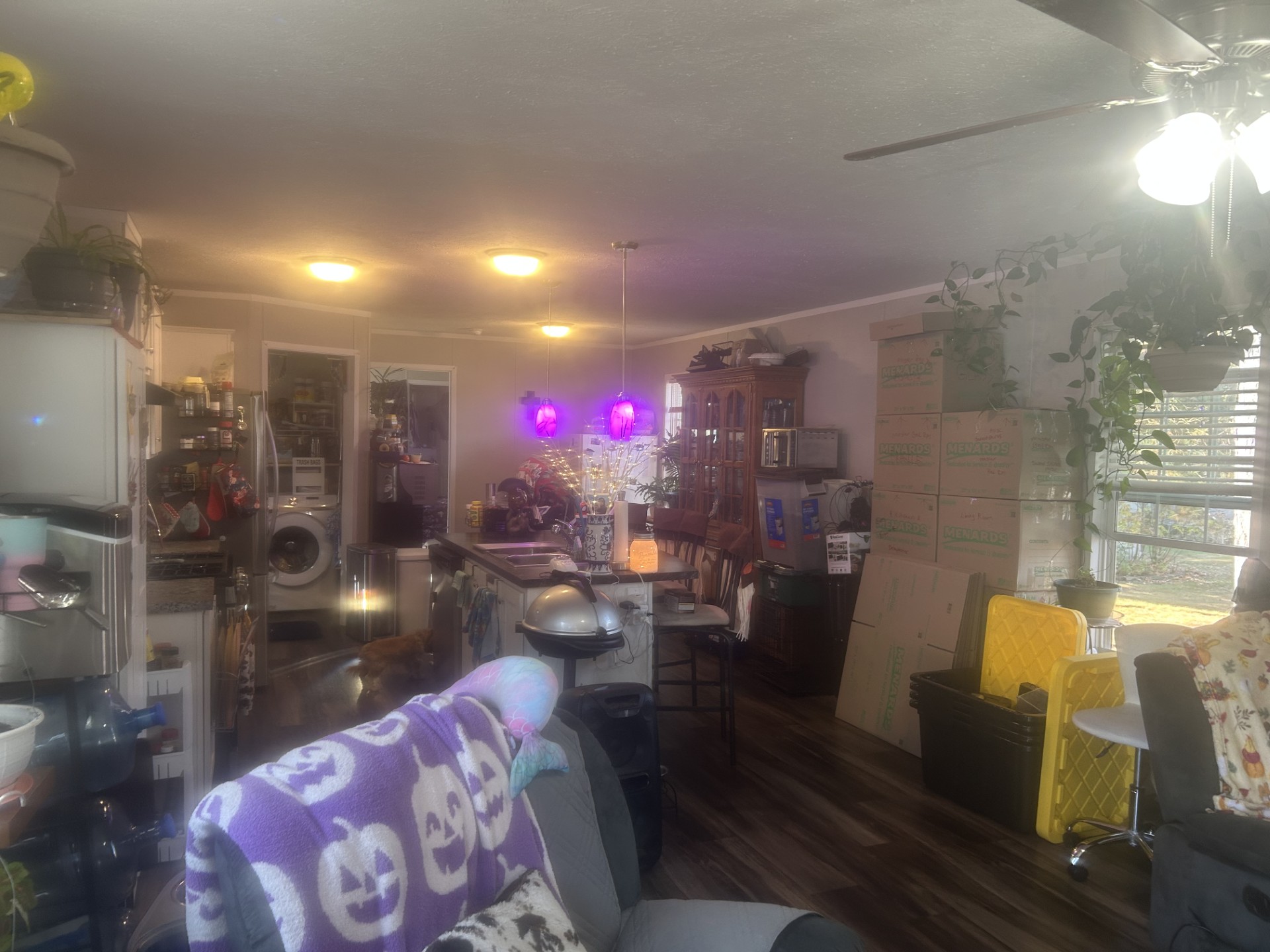 A photo of the Lazy Acres Home