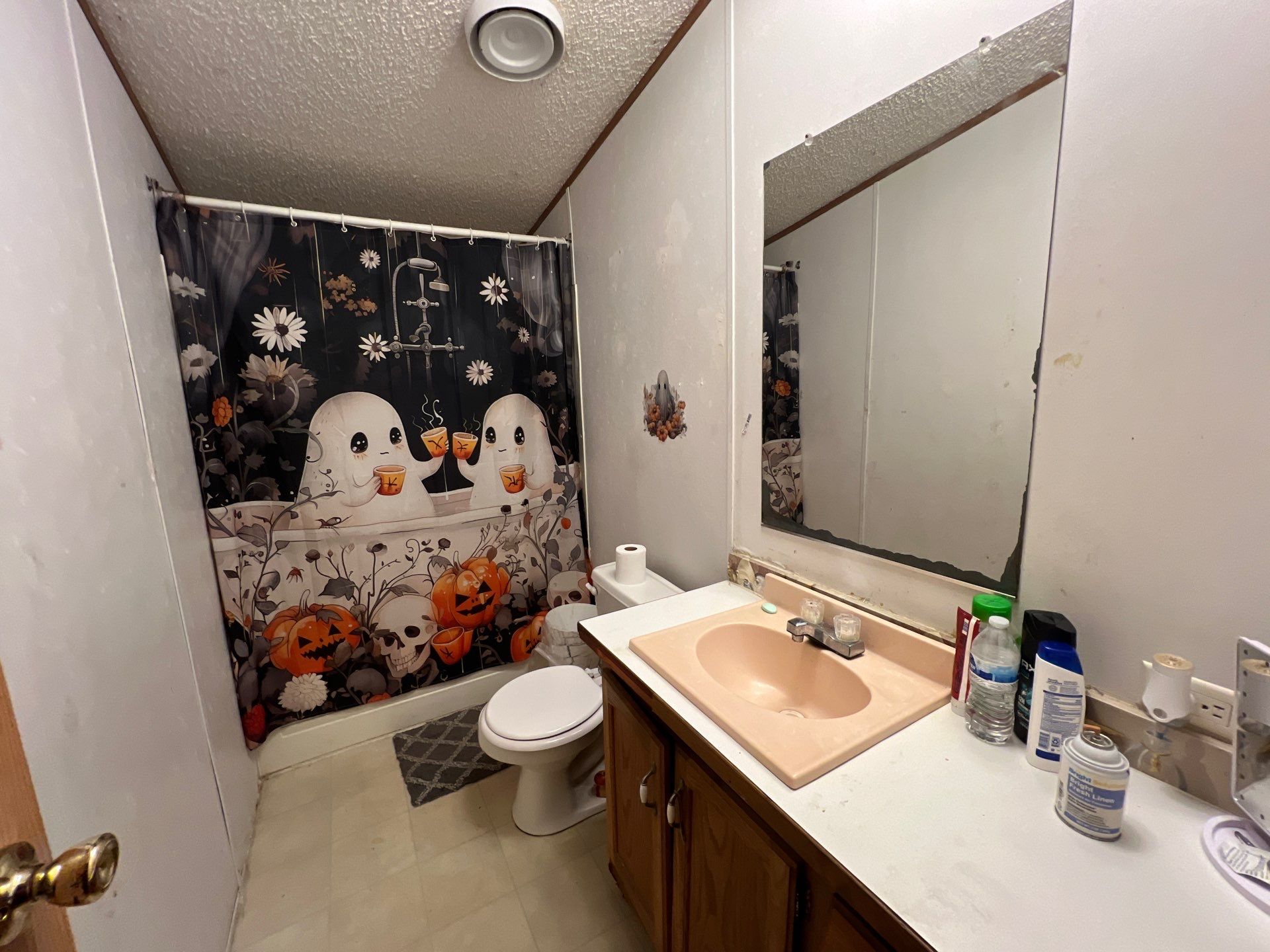 A photo of the The Towneship at Clifton Home