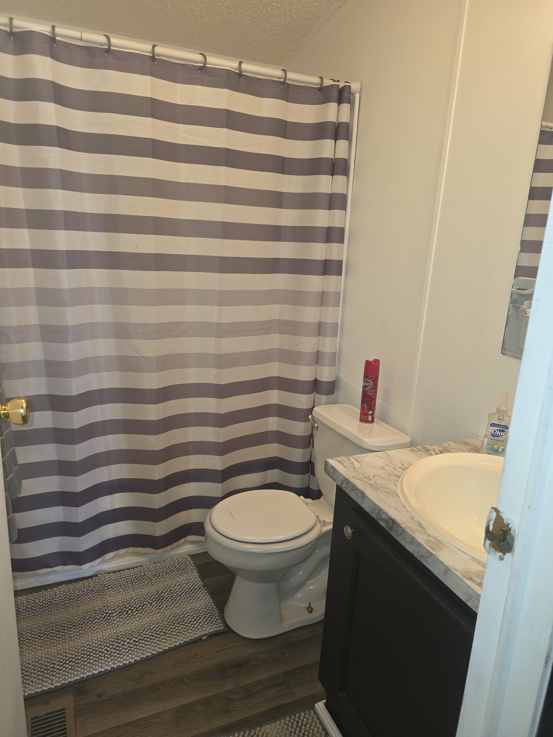 A photo of the Alpine Park Home