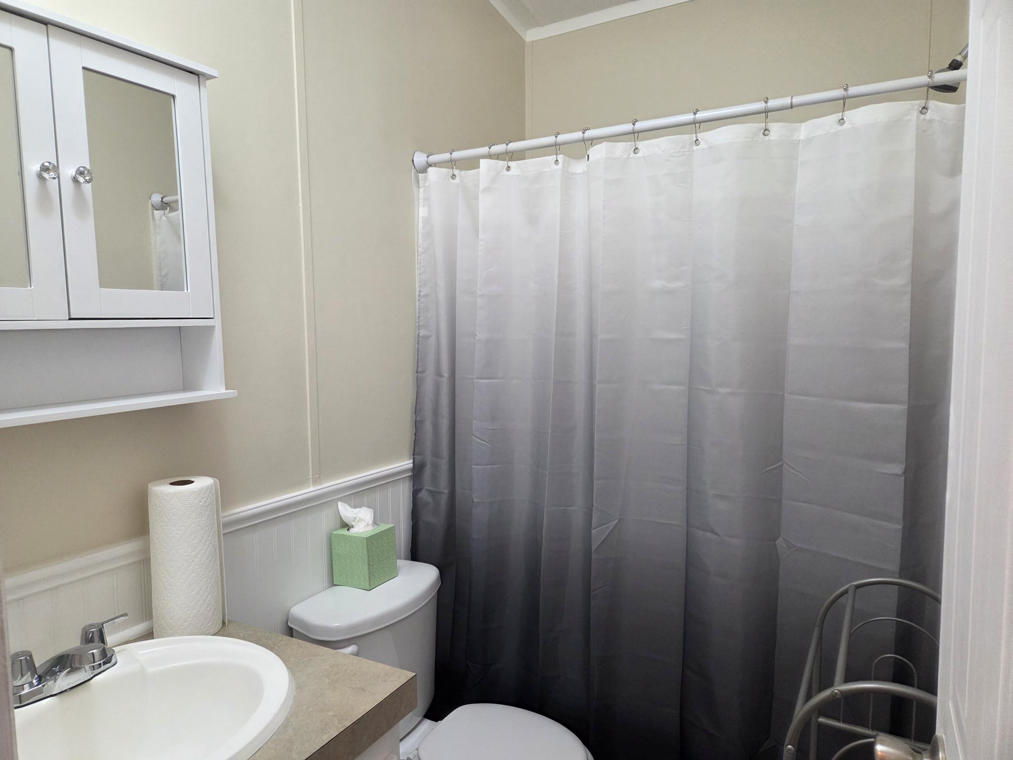 A photo of the New Twin Lakes Village Home