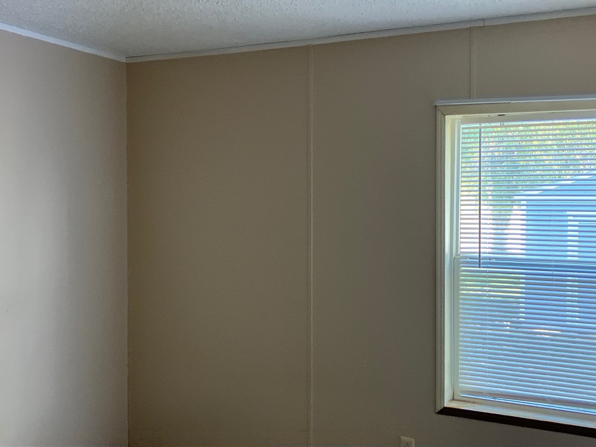 A photo of the Navajo Lake Estates Home