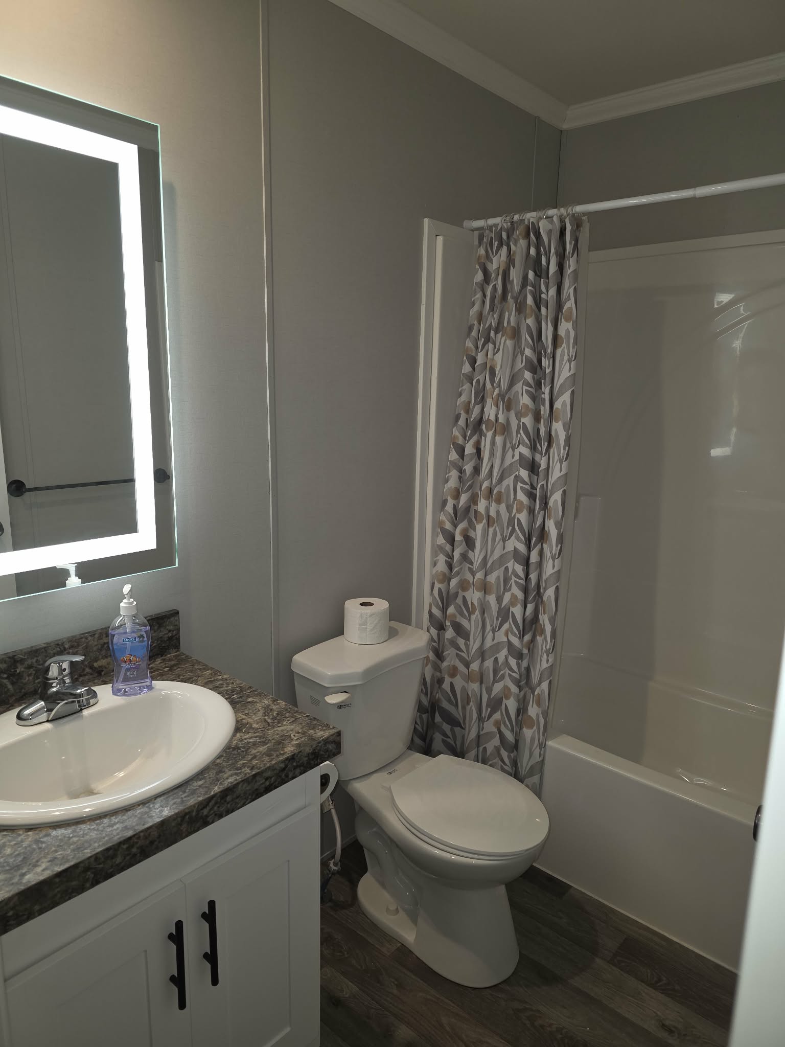 A photo of the Alpine Park Home