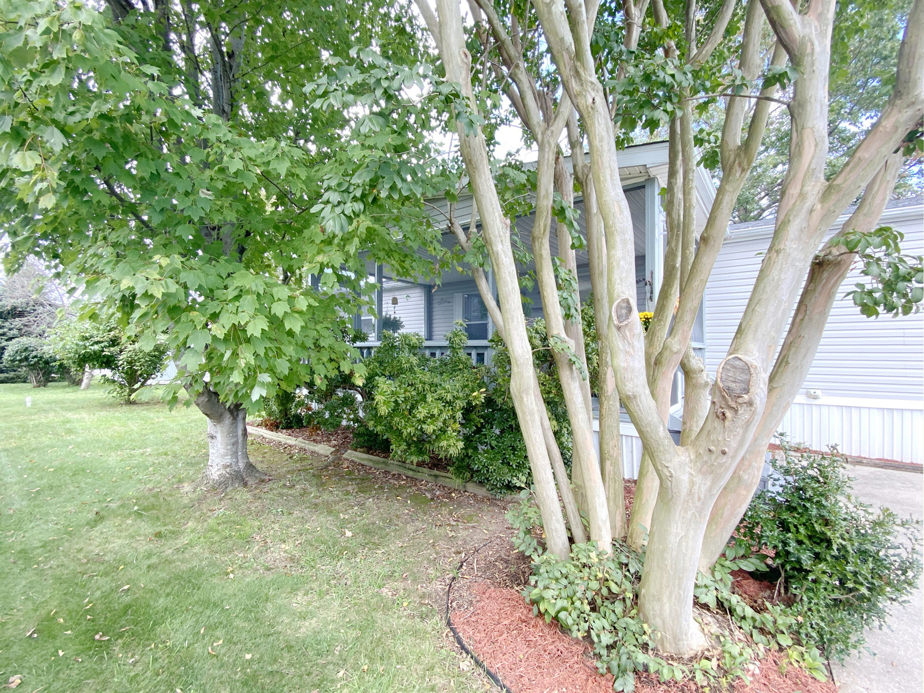 A photo of the Sussex East Home